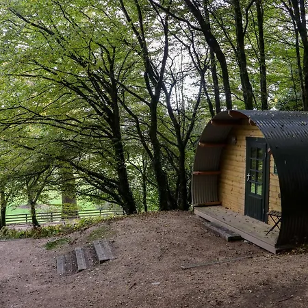 Ballybeg Pod 8 *