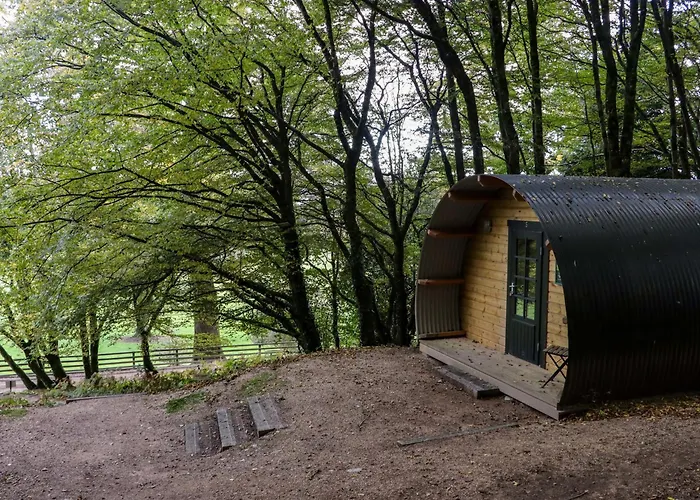 Ballybeg Pod 8 *
