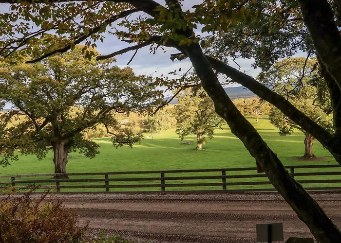 Ballybeg Pod 8 Ferienhaus Arklow